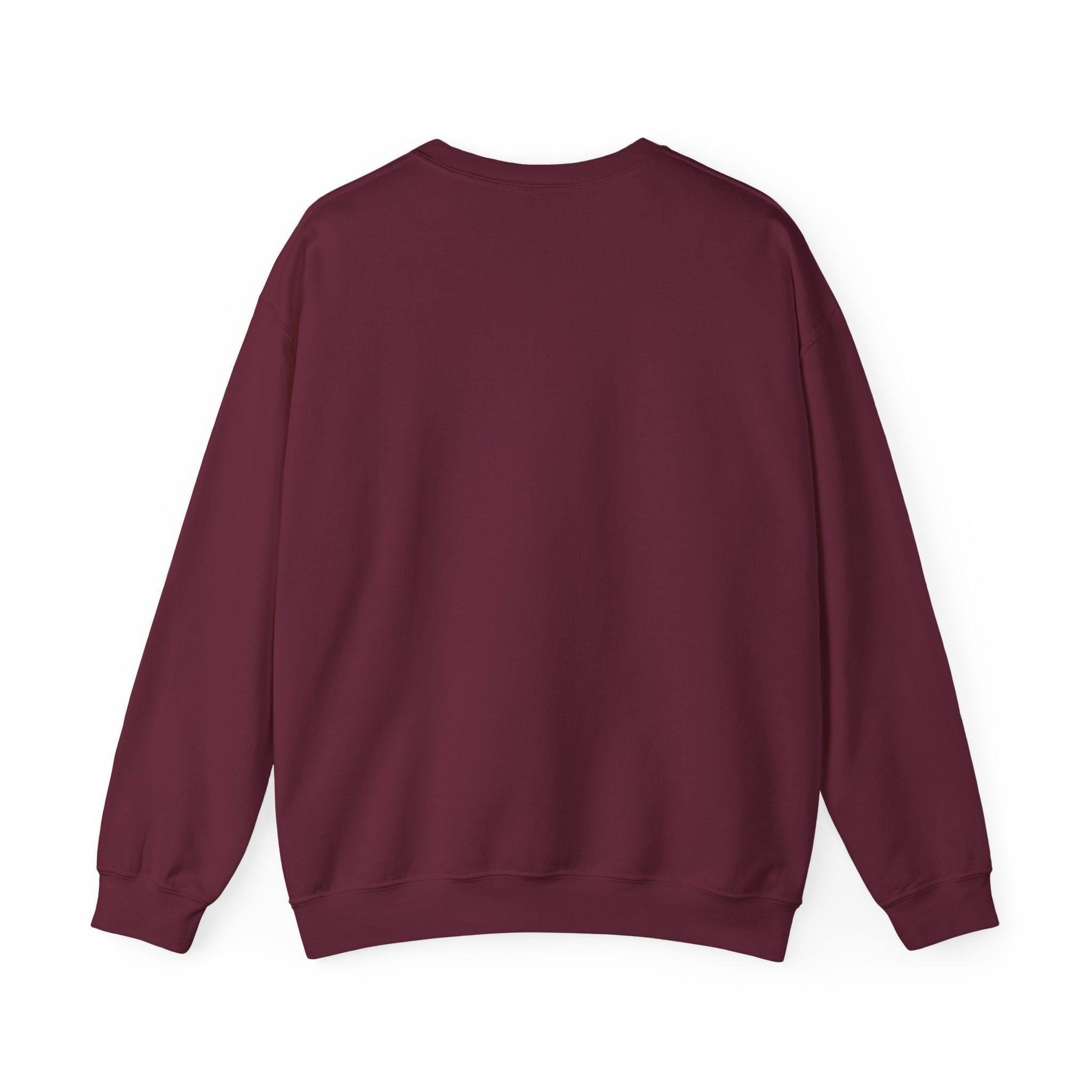 Motivational western graphic sweatshirt in maroon color on the back